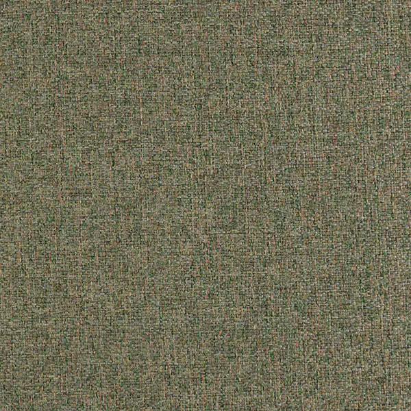 elm