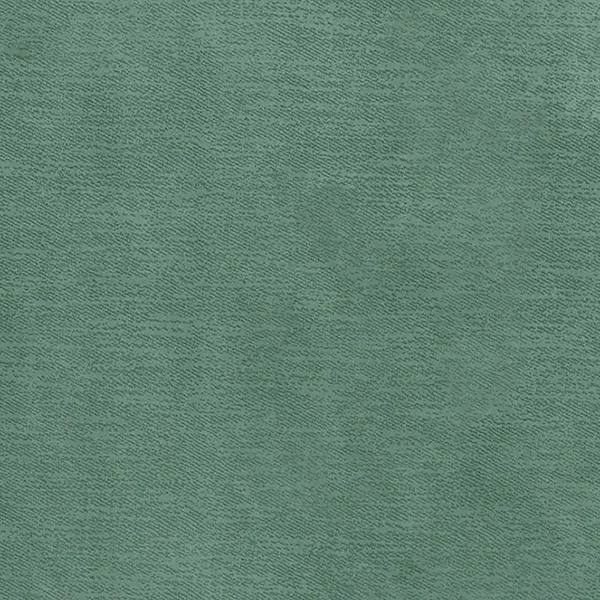 elm