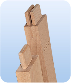 Tenon